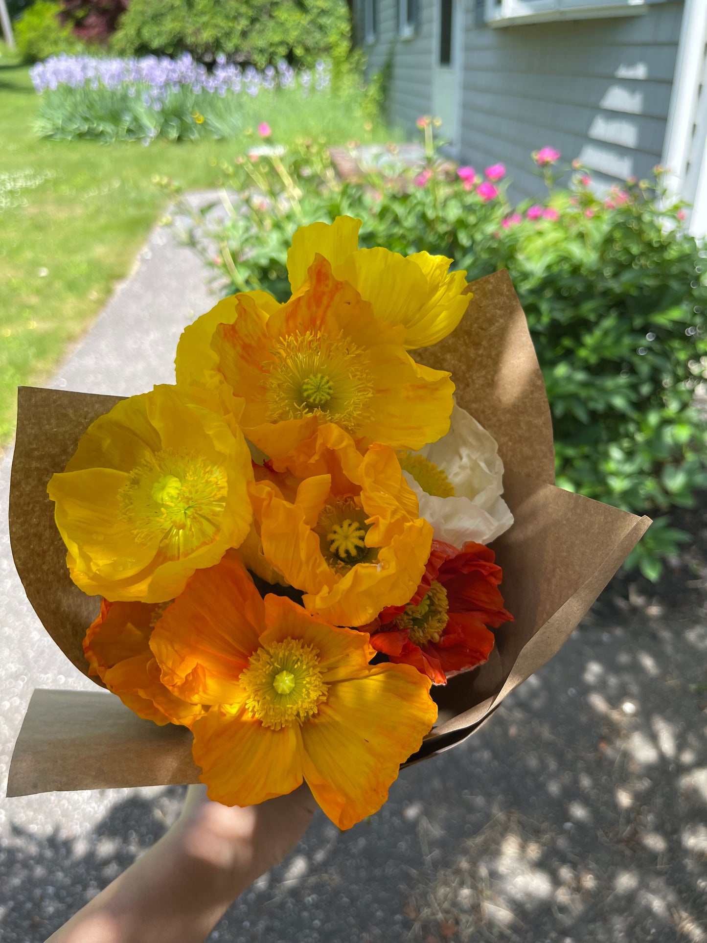 Garden Flower Specials