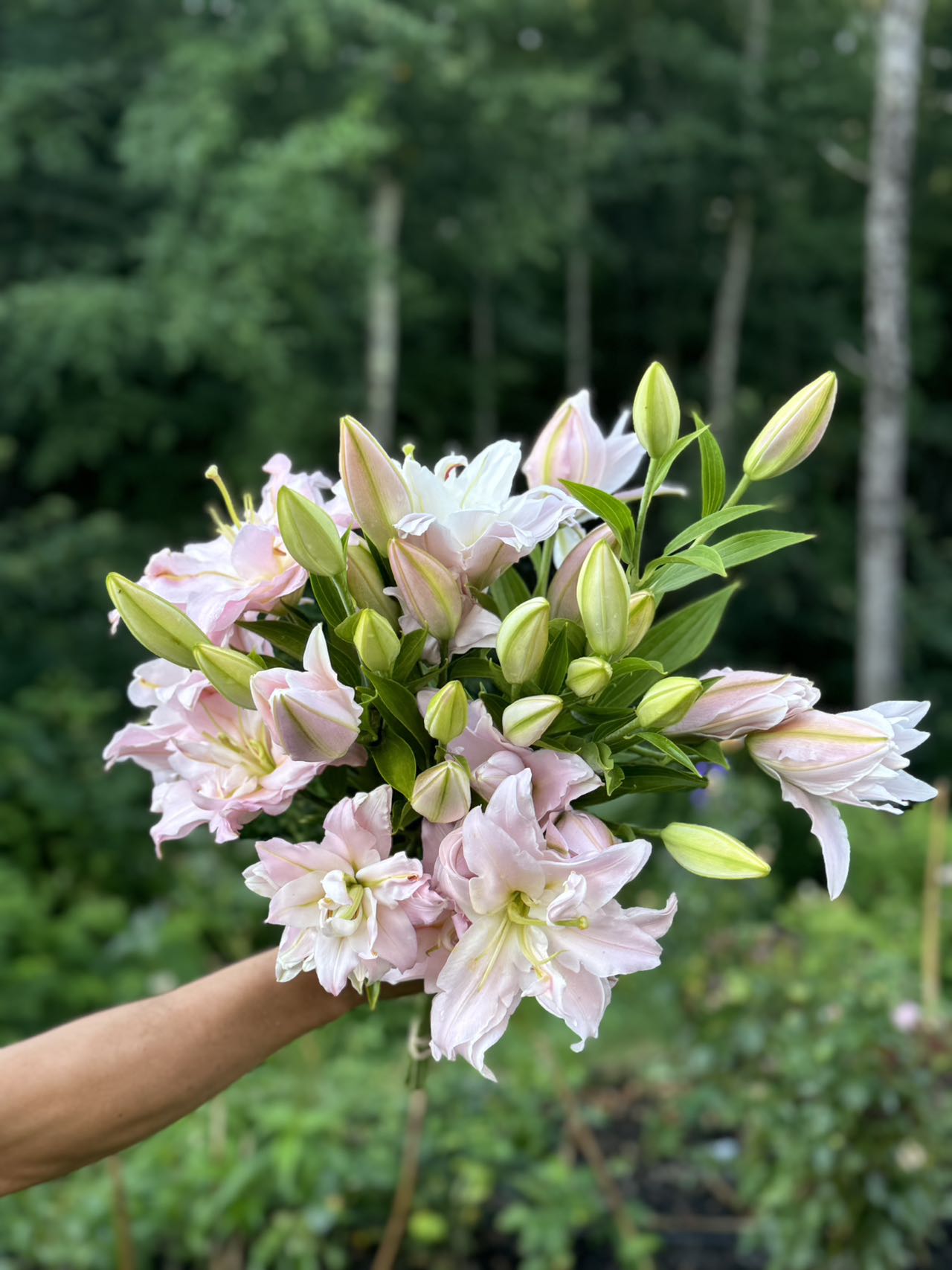 Why buy local? – Buzzing Backyard Flower Garden